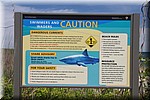 White Shark waarschuwing
