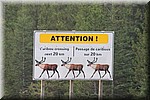 Waarschuwing Caribou