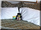 Beer, Muis, Giraffe en Ukkie augustus 2015 Vancouver (British Columbia, Canada)
Op ons eigen bed in het hotel