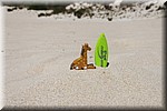 Ukkie november 2015 Little Sahara, Kangaroo Island (South Australia, Australie)
Trots naast zijn surfboard
