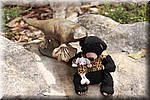 Beer en Muis december 2015 Flinders Chase NP (South Australia, Australie)
Samen bij een beeld van een Platypus