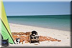 Beer, Muis, Giraffe, Ukkie, Poes en Felix mei 2016 Cape Range NP (West Australie, Australie)
Met z'n allen op het strand