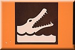 Waarschuwing; Zoutwater krokodillen