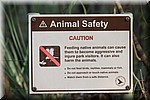 Waarschuwing; Geen dieren voeren
Kunnen daardoor agressief en gevaarlijk worden en kan ook ongezond voor ze zijn