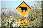 Waarschuwing, geen hekken om vee van de weg te houden