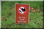 Verboden eekhoorns te voeren
