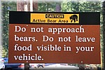 Benader geen (zwarte) beren, laat geen voedsel zichtbaar in het voertuig achter
Sequoia NP