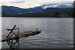 Beer, Muis en Giraffe mei 2017 - Loon Bay Recreation Site (Vancouver Island, BC, Canada)
Hier kun je goed zien hoever we in het meer zaten!