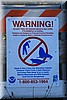 Waarschuwing: Verboden zeeleeuwen en zeehonden te voeren