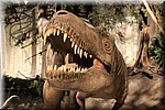 Complete dino's neergezet in levensechte scenes
