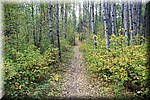 De Spruce River Highlands Trail 