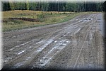 Toen we na een hele dag regen door wilden naar Narrows PP bleek de gravelweg toch erg blubberig geworden.