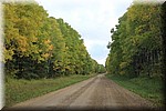 Hwy 983, een rustige weg door verlaten bossen met leuke wild kampeer mogelijkheden