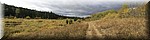Wandeling over ATV tracks door de bossen