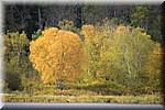 Herfstkleuren