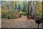 Ook al herfst op de grond