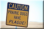 Waarschuwing, Prairie dogs hebben ziekte