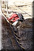 Magda november 2017 - Ladders de Canyon in (Natural Bridges NM, UT, USA)