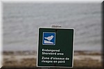 Gebied met bedreigde kustvogels