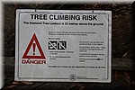 Boom klim risico, Diamond tree uitkijk is 52 meter boven de grond 