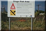 Waarschuwing voor dingo's