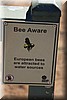 Waarschuwing voor (Europese) bijen