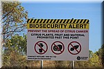 Biosecurity waarschuwing voor cirtusplanten en-vruchten (vroeger quarantaine)