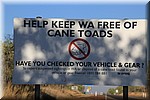 Help om WA Cane Toad vrij te houden
Wat ondertussen al een tijdje niet het geval is