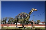 Magda augustus 2019 - Dino (Hughenden, QLD, AUS)
Zelfde Dino als waar Fred bij staat op 24 oktober 2012, maar wel overgeschilderd