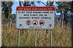 Hou bananenplanten ziekte vrij; kom niet op bananen plantages en verplaats geen planten, grond en machines zonder toestemming