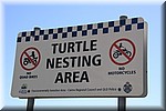 Schildpad nest gebied