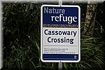Cassowary oversteekplaats