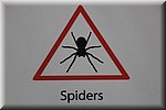 Waarschuwing voor spinnen