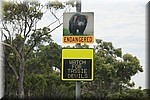 Waarschuwing voor de met uitsterven bedreigde Tasmaanse Devils in schemering